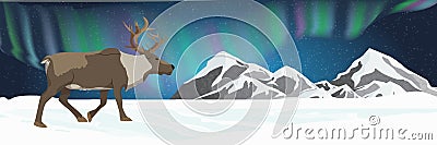 An adult reindeer walks through a snow-covered plain. Northern lights in the night starry sky. Animals of Russia, Canada, USA, Sca Vector Illustration